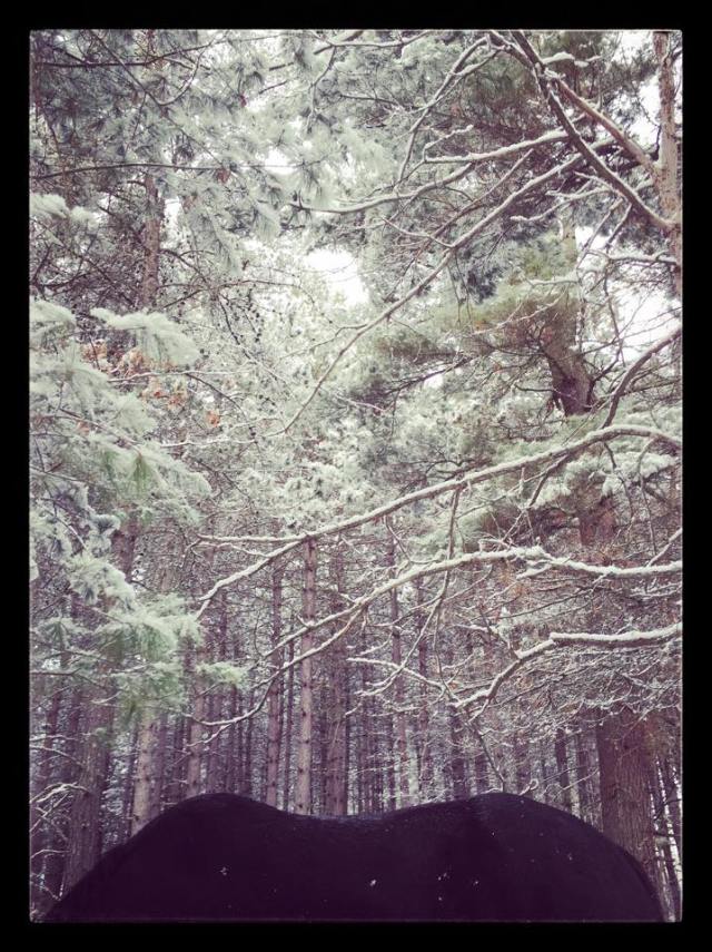 10392301_10206369400584573_9191755982027596129_n