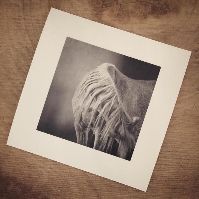 10906318_10205881208340072_7321897731959935791_n