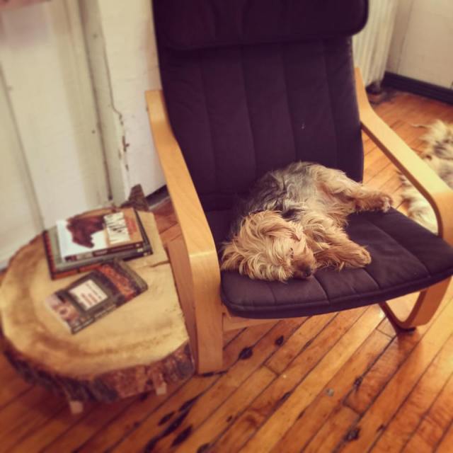 10994249_10206143154608565_8379010087465125601_n