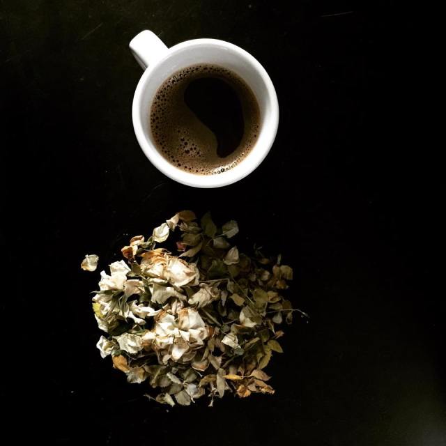 1509996_10206316150133345_1786846934374233073_n