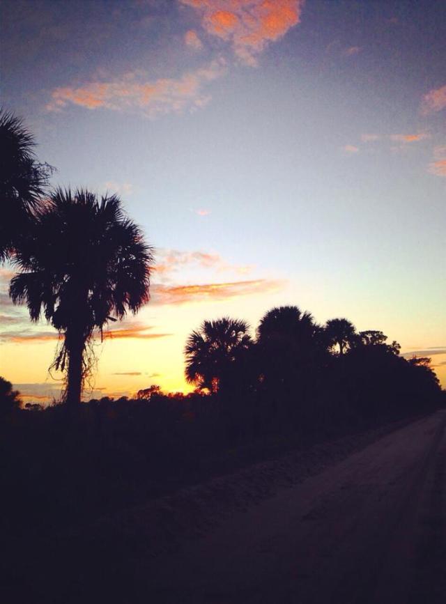 1975195_10205539254391437_1210227457453731199_n