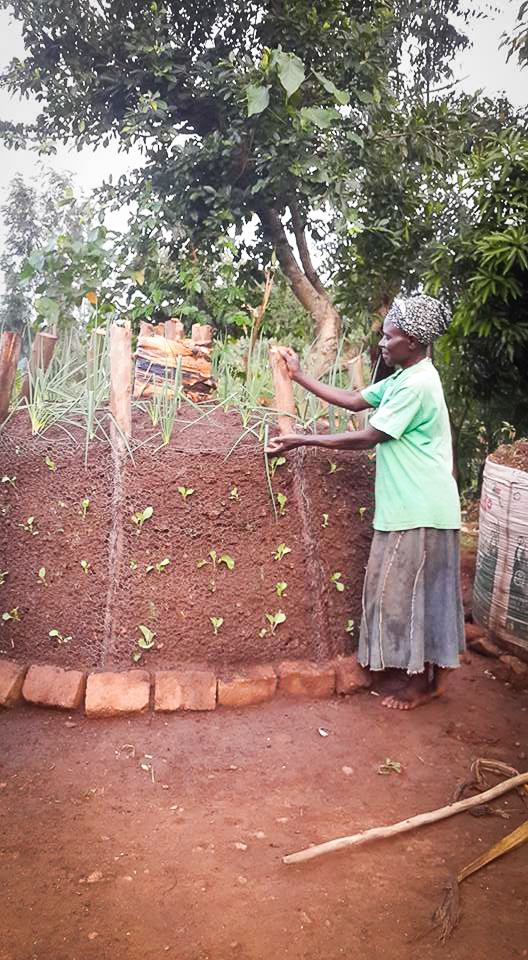 13094355_258767007804585_766037157134716127_n-1